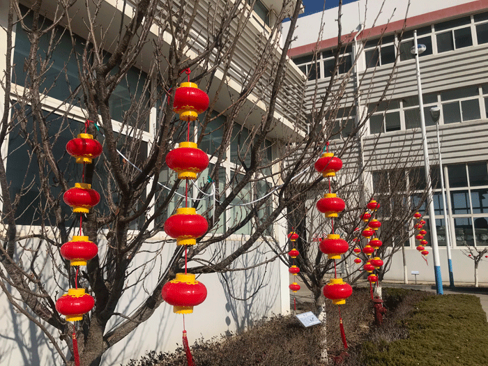 烟台云博在线注册化工恭祝大家2021牛年行大运